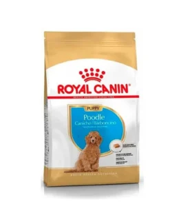 Royal Canin Perro Purebreed Poodle Junior 3 Kg