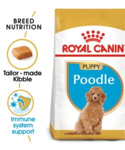 Royal Canin Perro Purebreed Poodle Junior 3 Kg