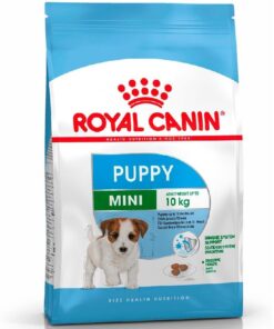 Royal Canin Perro Mini Junior 3 Kg