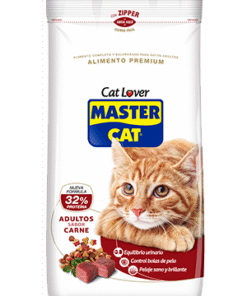 Master Cat Carne 20+2 KG*