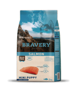 Bravery mini puppy small 2 kg salmon