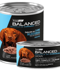 Balanced lata perro cordero 340 grm