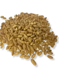 Trigo 1 kg
