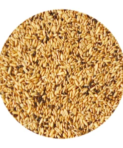 Mezcla de Canarios 1 kg
